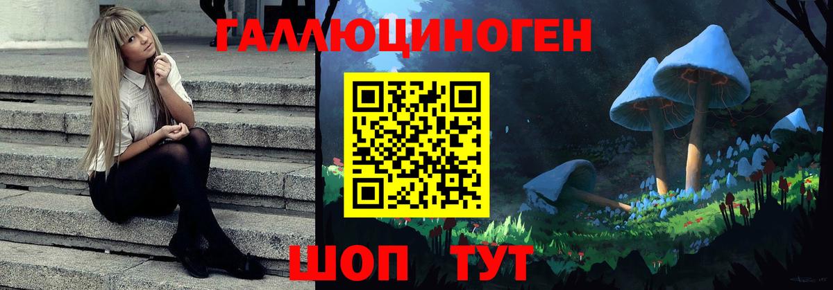 Галлюциногенные грибы Psilocybe  Вход с VPN  Новоалександровск 